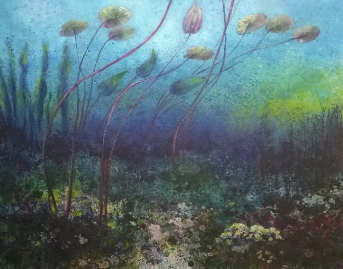 WP_20160610_12_12_04_Pro