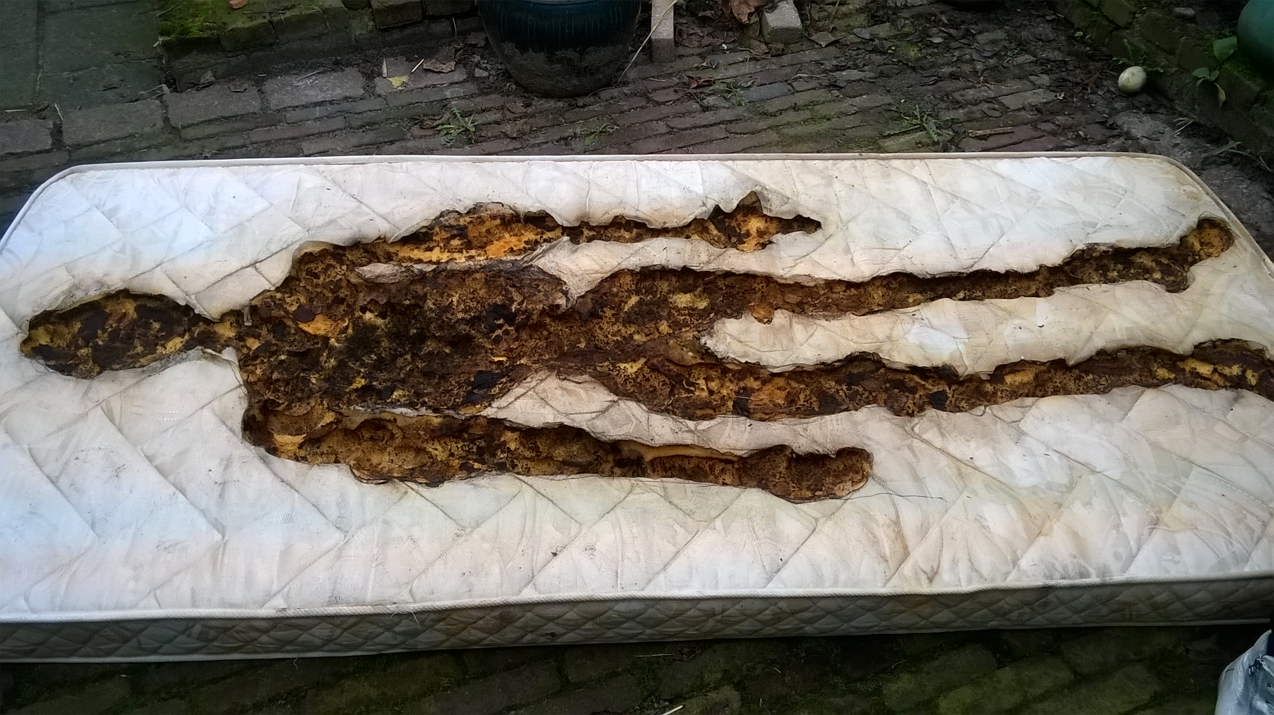 WP_20151208_14_10_33_Pro (1)