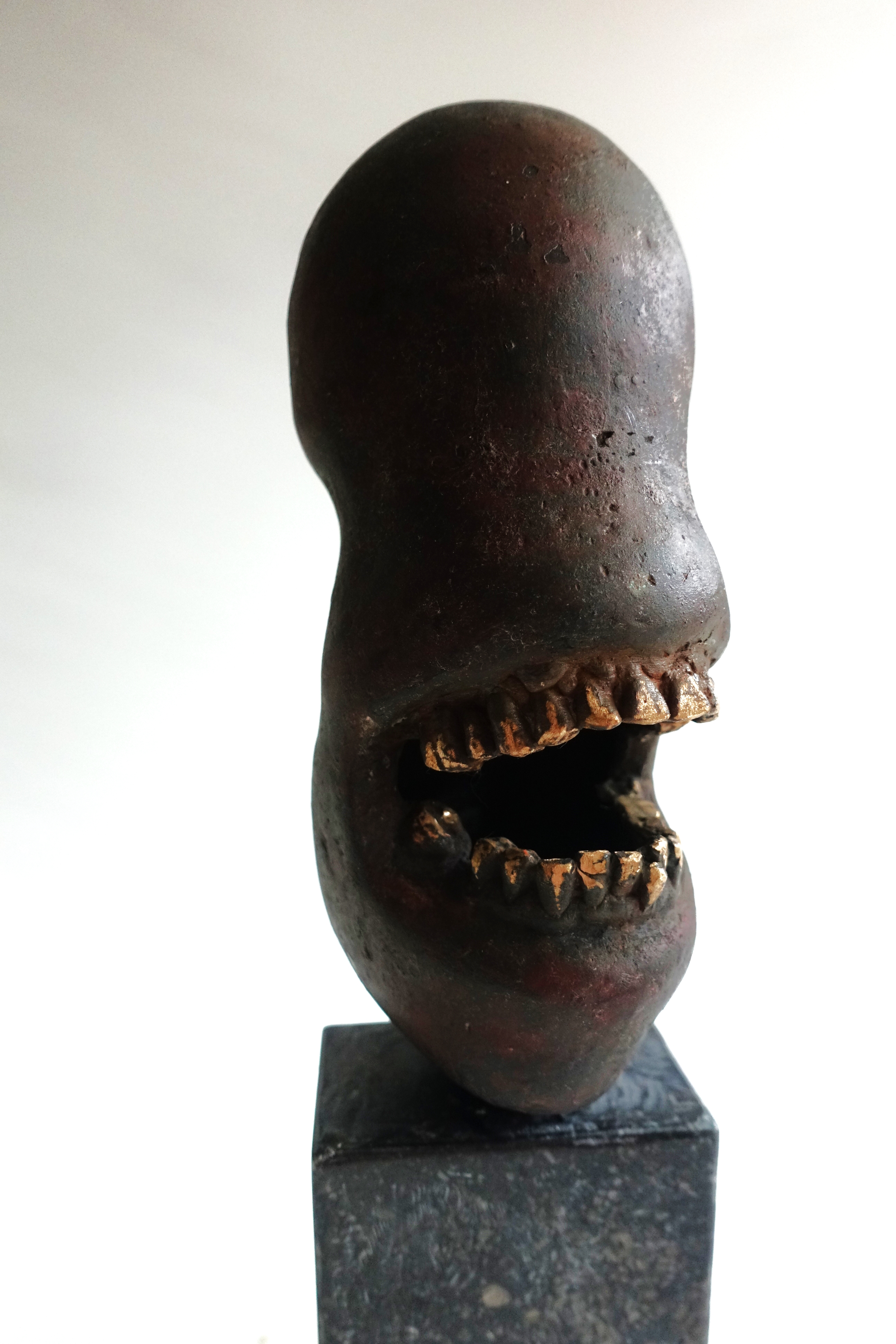 Deze afbeelding heeft een leeg alt-atribuut; de bestandsnaam is dsc02227-gebitskop-groot-1.jpg